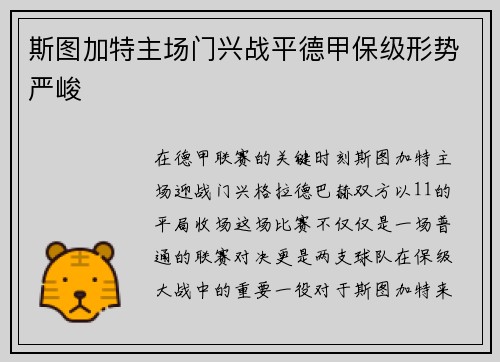 斯图加特主场门兴战平德甲保级形势严峻