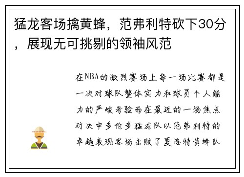 猛龙客场擒黄蜂，范弗利特砍下30分，展现无可挑剔的领袖风范