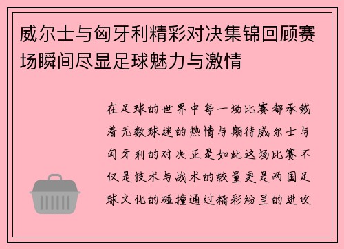 威尔士与匈牙利精彩对决集锦回顾赛场瞬间尽显足球魅力与激情